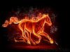 fiery_horse_1264437781.jpg