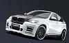 HamannBMWX6wides_1236094311.jpg