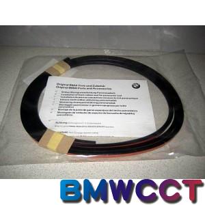 BMW 原廠天窗膠條 E38 E39 E60 E65 E66 E71 X6 F01 F02 F03 F04 F10 F18